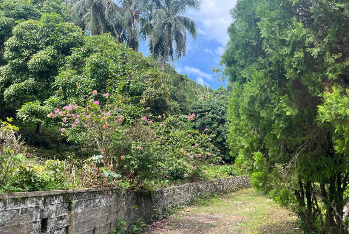 Fifth image of Lime Hall- st Ann in Lime Hall, St. Ann, Jamaica - property is For Sale