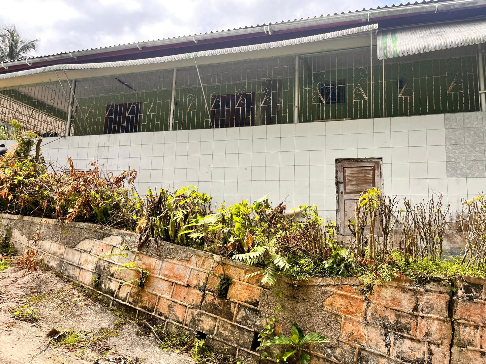 35-Acres-of-Prime-Development-Land-with-House-for-Sale-in-Lime-Hall-St-Ann Seventh image of Lime Hall- st Ann in Lime Hall, St. Ann, Jamaica - property is For Sale