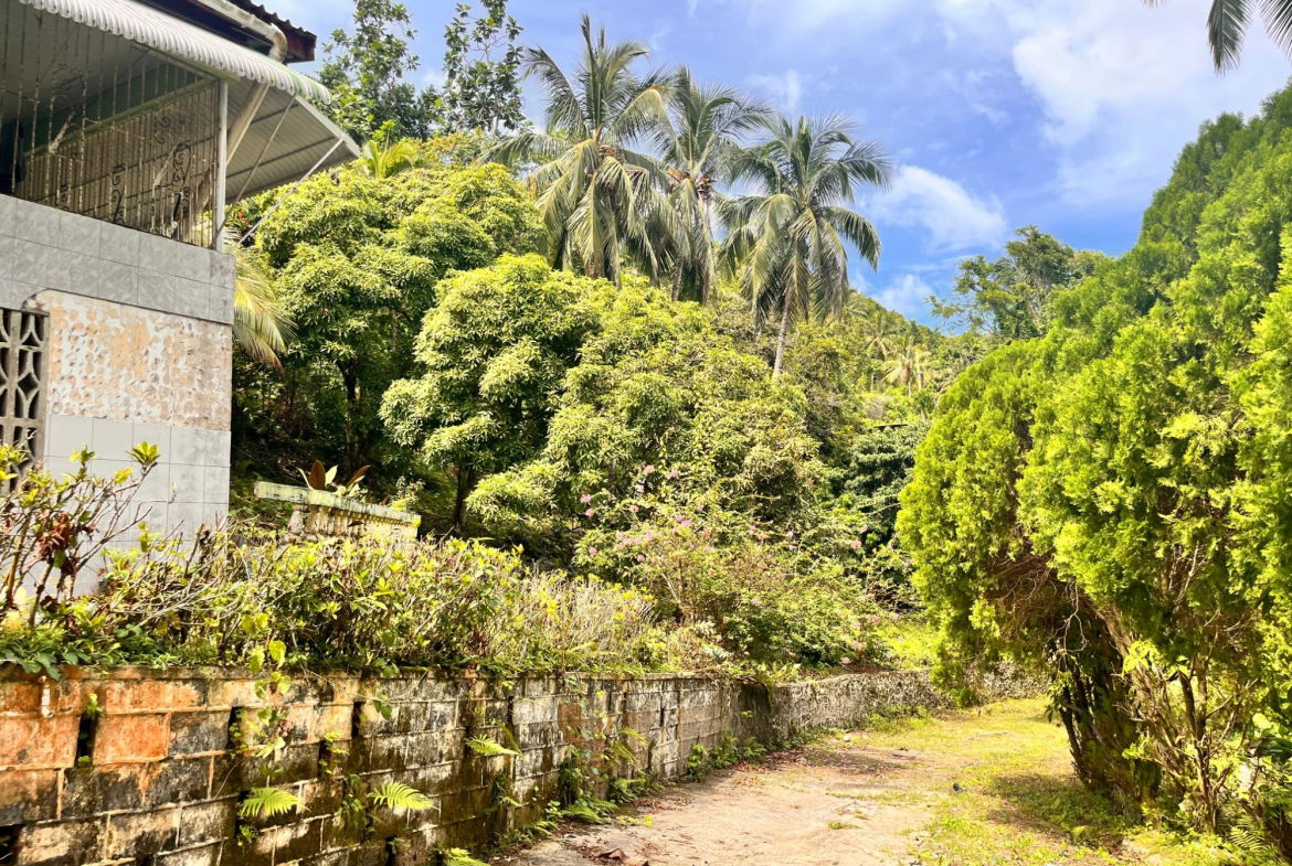 Eighth image of Lime Hall- st Ann in Lime Hall, St. Ann, Jamaica - property is For Sale