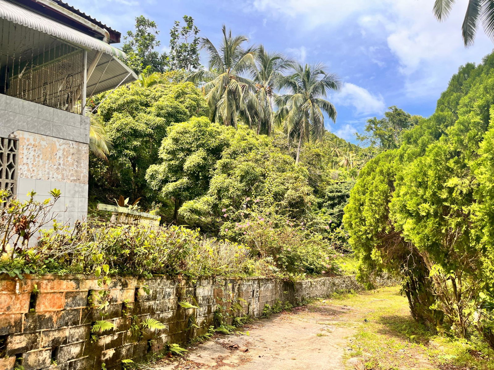 35-Acres-of-Prime-Development-Land-with-House-for-Sale-in-Lime-Hall-St-Ann Eighth image of Lime Hall- st Ann in Lime Hall, St. Ann, Jamaica - property is For Sale