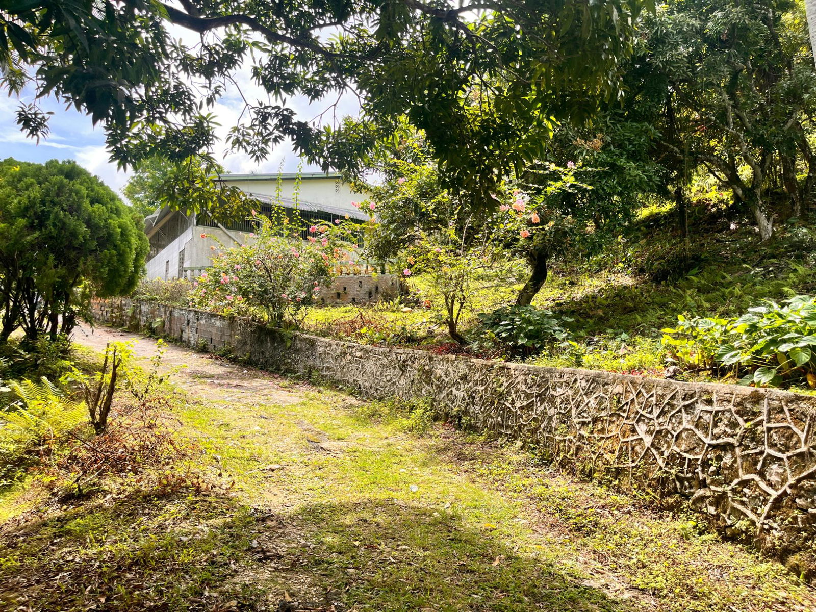 35-Acres-of-Prime-Development-Land-with-House-for-Sale-in-Lime-Hall-St-Ann First image of Lime Hall- st Ann in Lime Hall, St. Ann, Jamaica - property is For Sale