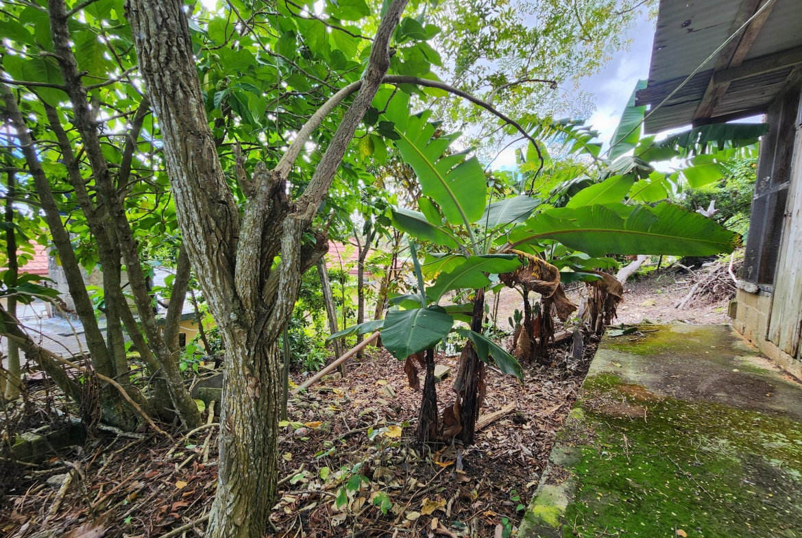 Twenty-Fifth image of 69 New Green in Mandeville, Manchester, Jamaica - property is For Sale