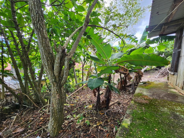 Twenty-Fifth image of 69 New Green in Mandeville, Manchester, Jamaica - property is For Sale