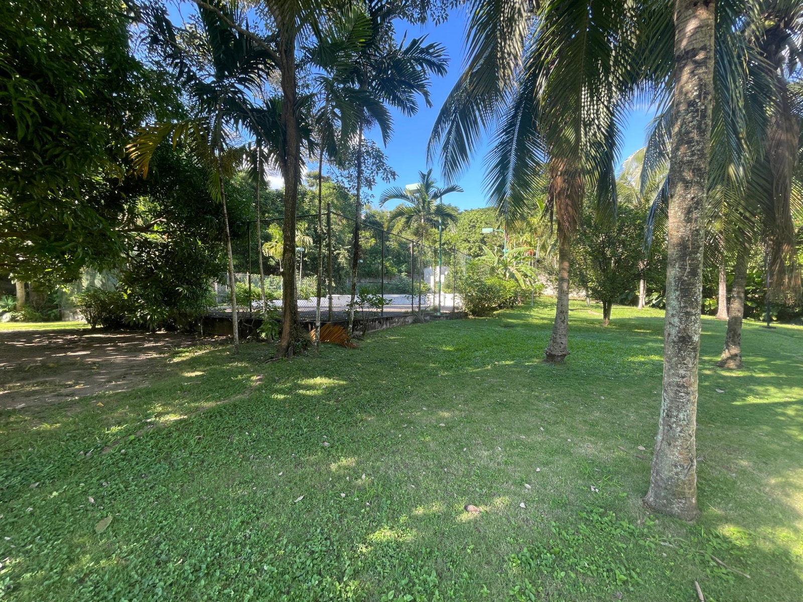 Third image of 18-1a Norbrook Road in Norbrook, St. Andrew, Jamaica - property is For Rent