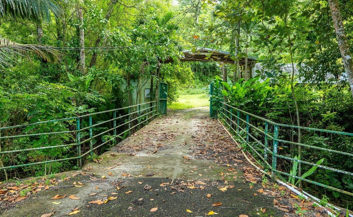 Second image of Lot 3 Industry Pen, St. Mary in White River, St. Mary, Jamaica - property is For Sale