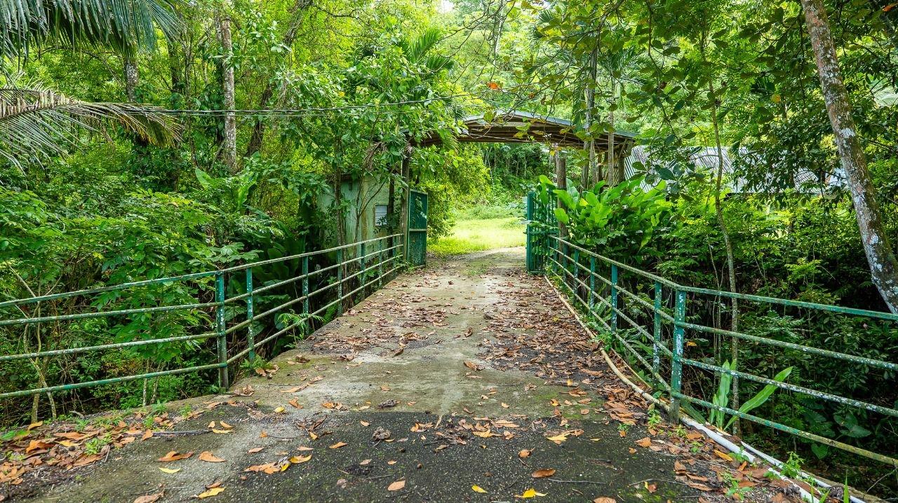 40-Acres-of-Prime-Land-for-Sale-in-St.-Mary-Jamaica-Ideal-for-Eco-Tourism Second image of Lot 3 Industry Pen, St. Mary in White River, St. Mary, Jamaica - property is For Sale