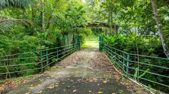 Second image of Lot 3 Industry Pen, St. Mary in White River, St. Mary, Jamaica - property is For Sale