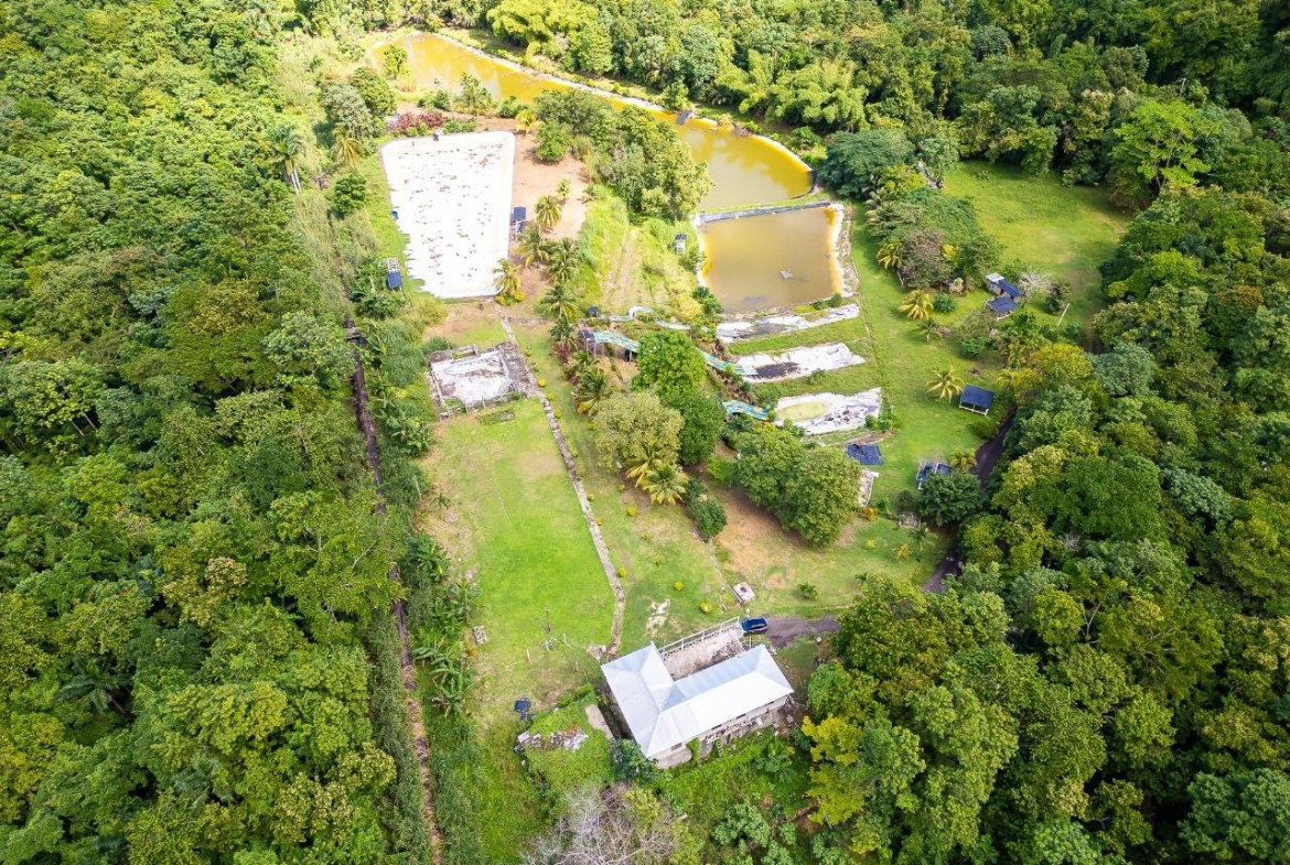 First image of Lot 3 Industry Pen, St. Mary in White River, St. Mary, Jamaica - property is For Sale