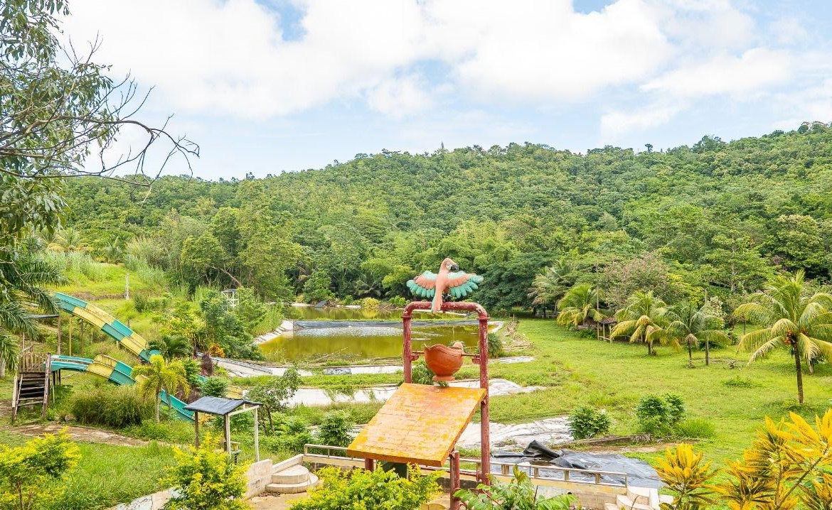 Third image of Lot 3 Industry Pen, St. Mary in White River, St. Mary, Jamaica - property is For Sale