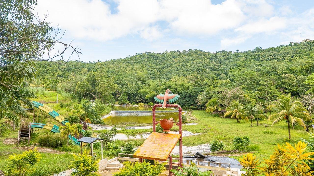 40-Acres-of-Prime-Land-for-Sale-in-St.-Mary-Jamaica-Ideal-for-Eco-Tourism Third image of Lot 3 Industry Pen, St. Mary in White River, St. Mary, Jamaica - property is For Sale