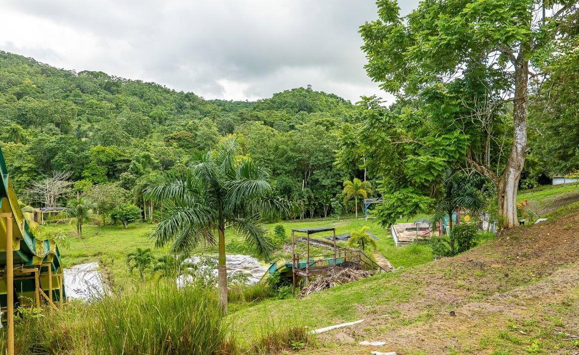 Fourth image of Lot 3 Industry Pen, St. Mary in White River, St. Mary, Jamaica - property is For Sale