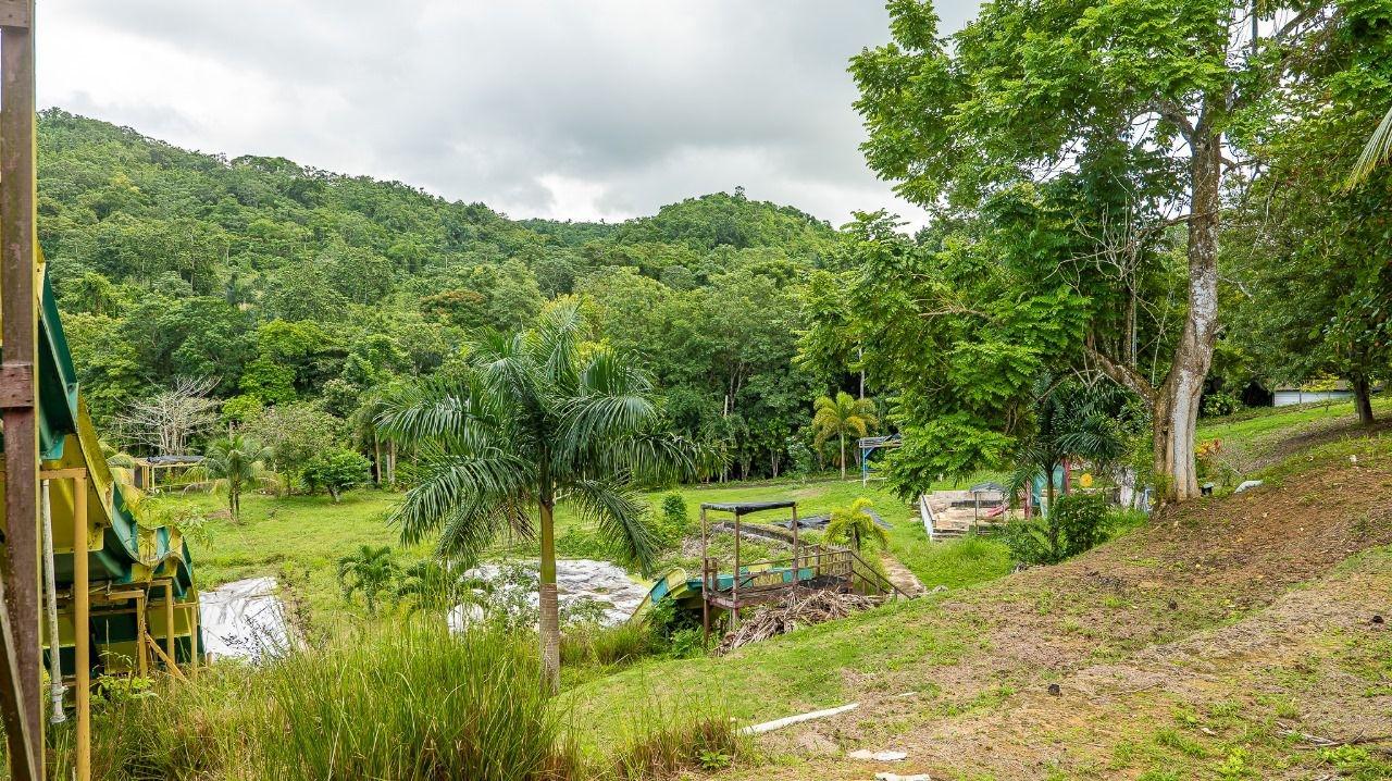 40-Acres-of-Prime-Land-for-Sale-in-St.-Mary-Jamaica-Ideal-for-Eco-Tourism Fourth image of Lot 3 Industry Pen, St. Mary in White River, St. Mary, Jamaica - property is For Sale