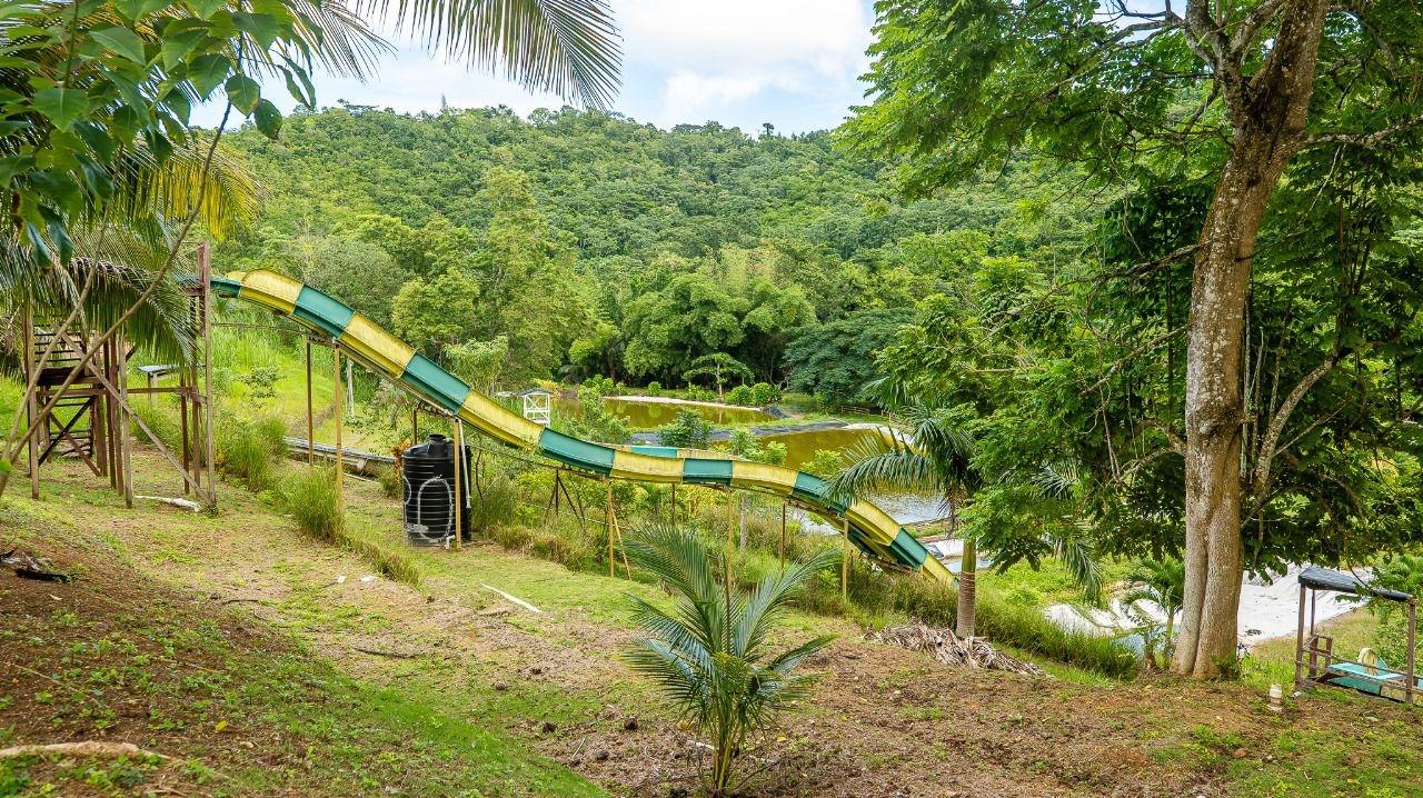 40-Acres-of-Prime-Land-for-Sale-in-St.-Mary-Jamaica-Ideal-for-Eco-Tourism Fifth image of Lot 3 Industry Pen, St. Mary in White River, St. Mary, Jamaica - property is For Sale