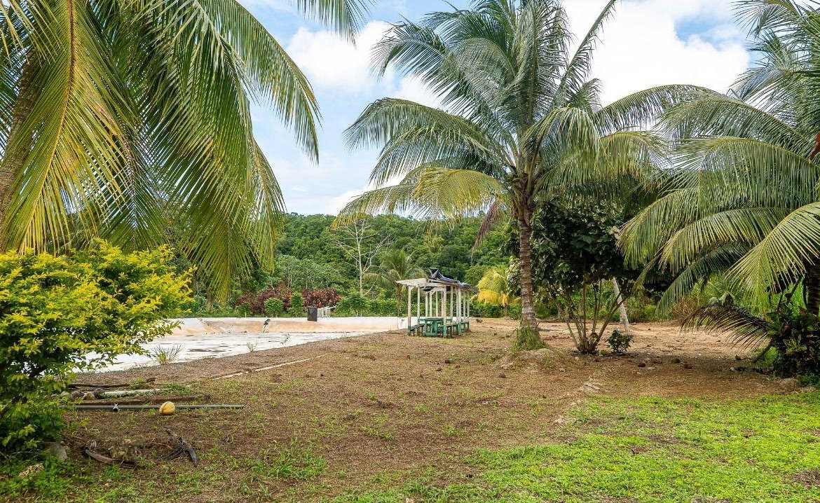 Sixth image of Lot 3 Industry Pen, St. Mary in White River, St. Mary, Jamaica - property is For Sale