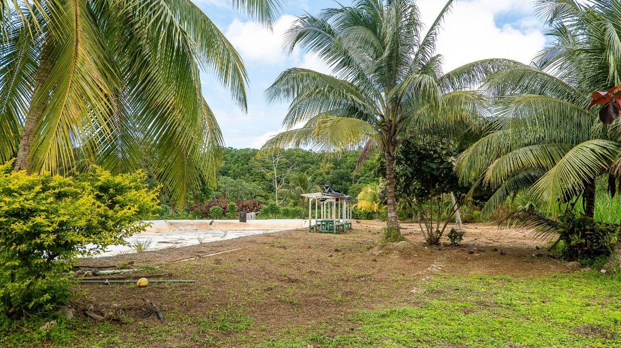 40-Acres-of-Prime-Land-for-Sale-in-St.-Mary-Jamaica-Ideal-for-Eco-Tourism Sixth image of Lot 3 Industry Pen, St. Mary in White River, St. Mary, Jamaica - property is For Sale