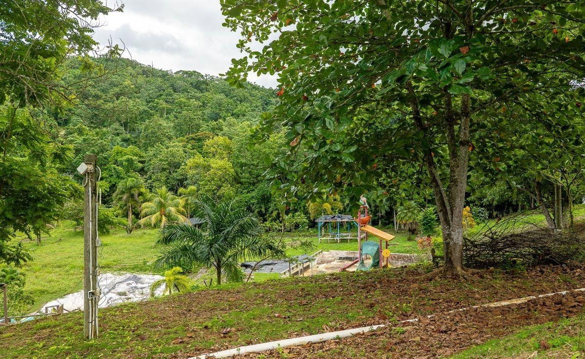 Seventh image of Lot 3 Industry Pen, St. Mary in White River, St. Mary, Jamaica - property is For Sale