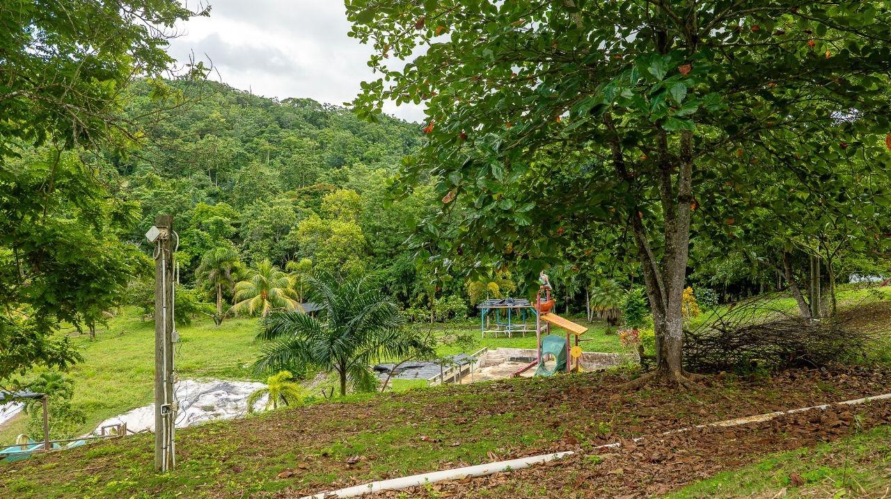 40-Acres-of-Prime-Land-for-Sale-in-St.-Mary-Jamaica-Ideal-for-Eco-Tourism Seventh image of Lot 3 Industry Pen, St. Mary in White River, St. Mary, Jamaica - property is For Sale