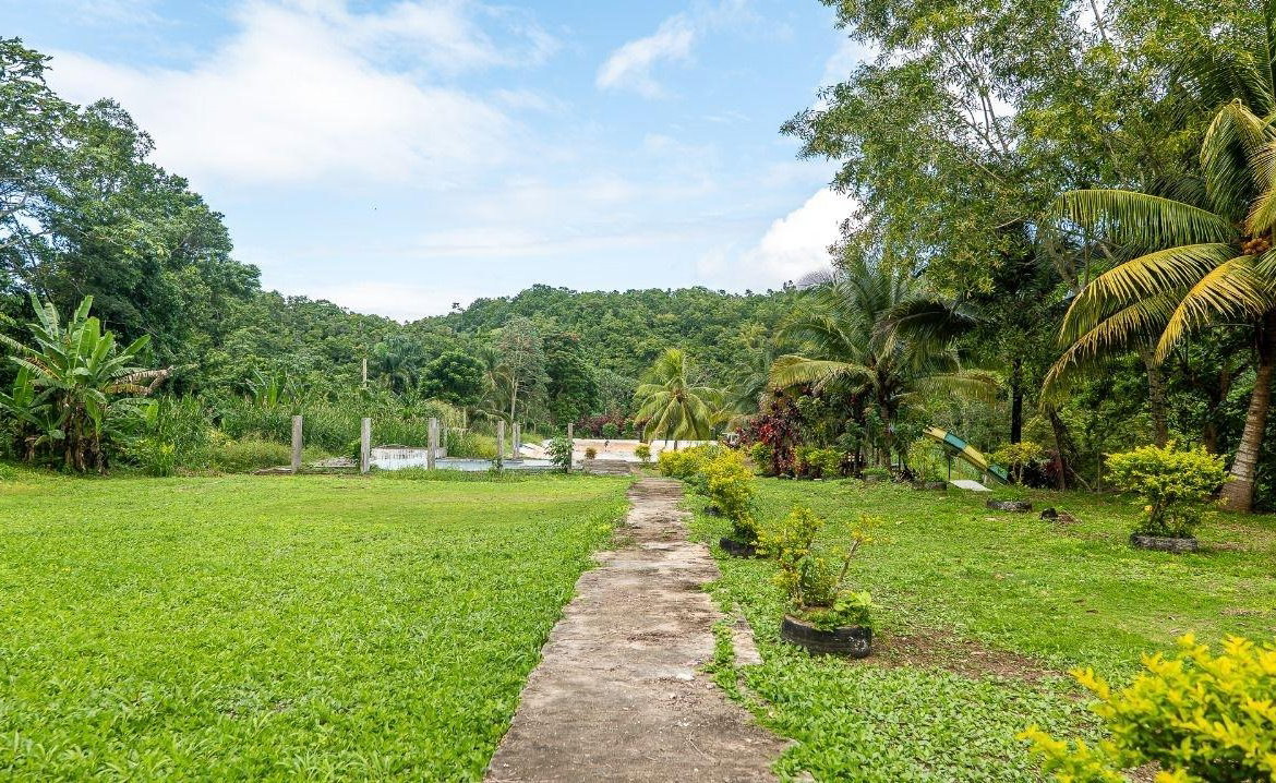 Eighth image of Lot 3 Industry Pen, St. Mary in White River, St. Mary, Jamaica - property is For Sale
