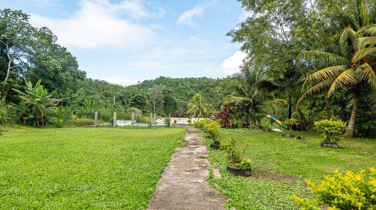 40-Acres-of-Prime-Land-for-Sale-in-St.-Mary-Jamaica-Ideal-for-Eco-Tourism Eighth image of Lot 3 Industry Pen, St. Mary in White River, St. Mary, Jamaica - property is For Sale