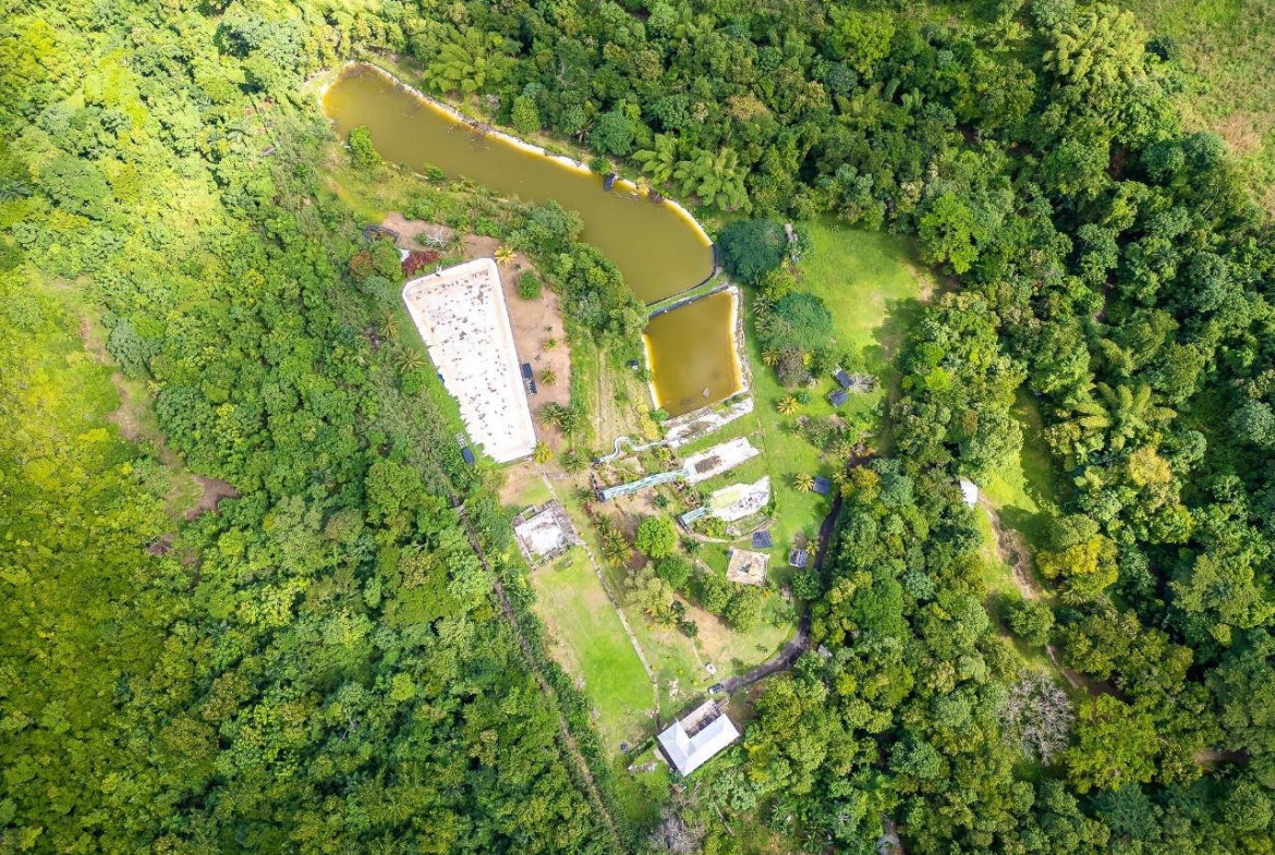 Ninth image of Lot 3 Industry Pen, St. Mary in White River, St. Mary, Jamaica - property is For Sale