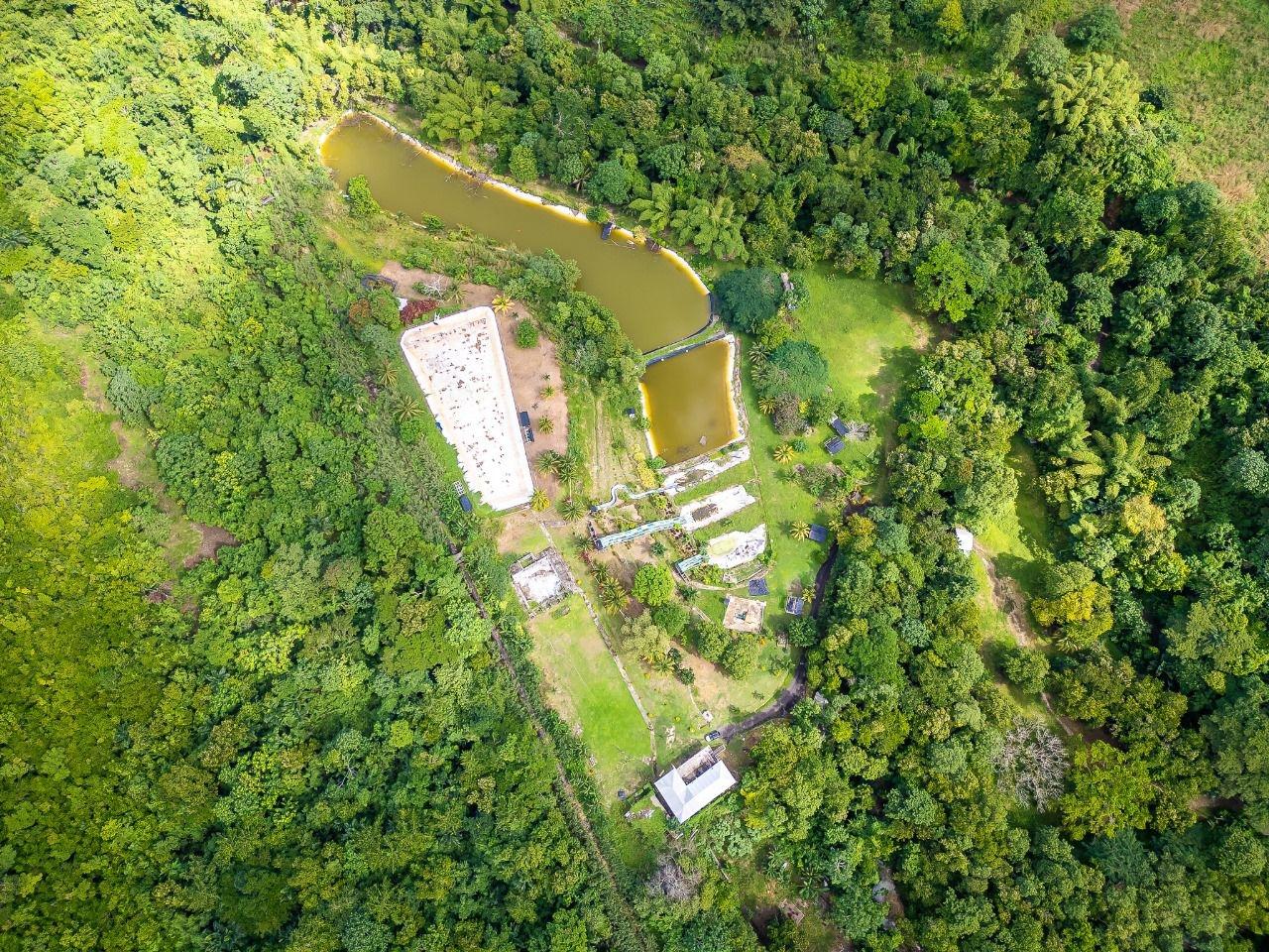 40-Acres-of-Prime-Land-for-Sale-in-St.-Mary-Jamaica-Ideal-for-Eco-Tourism Ninth image of Lot 3 Industry Pen, St. Mary in White River, St. Mary, Jamaica - property is For Sale