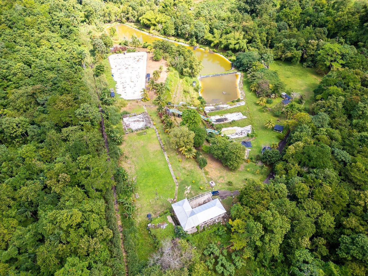 40-Acres-of-Prime-Land-for-Sale-in-St.-Mary-Jamaica-Ideal-for-Eco-Tourism First image of Lot 3 Industry Pen, St. Mary in White River, St. Mary, Jamaica - property is For Sale