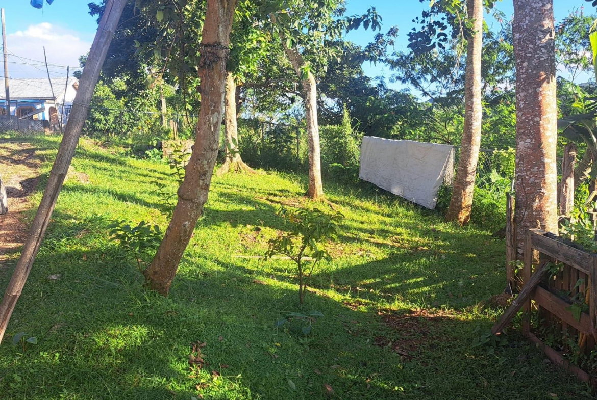 Sixth image of Nine Miles in Spaldings, Clarendon, Jamaica - property is For Sale