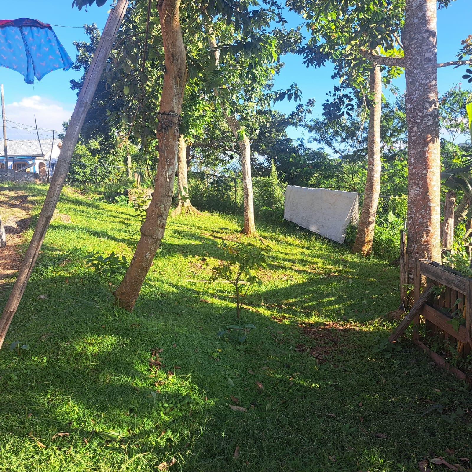 Sixth image of Nine Miles in Spaldings, Clarendon, Jamaica - property is For Sale