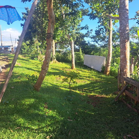 Sixth image of Nine Miles in Spaldings, Clarendon, Jamaica - property is For Sale