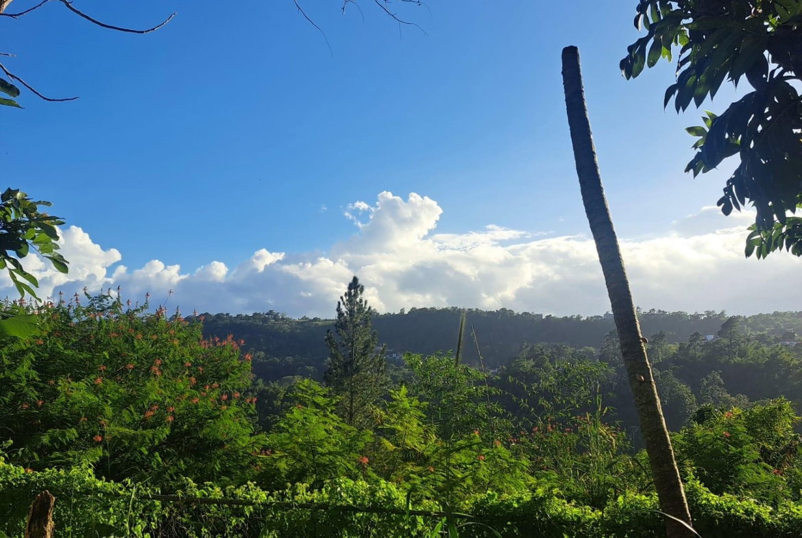 Seventh image of Nine Miles in Spaldings, Clarendon, Jamaica - property is For Sale