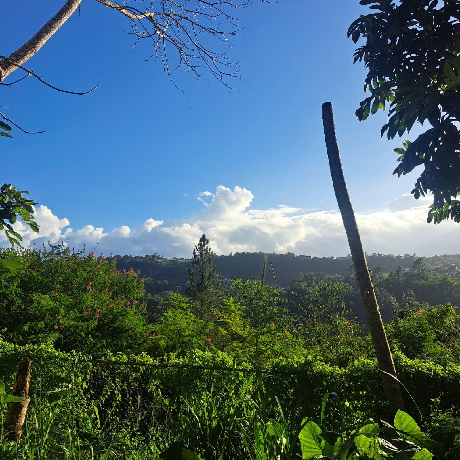Seventh image of Nine Miles in Spaldings, Clarendon, Jamaica - property is For Sale
