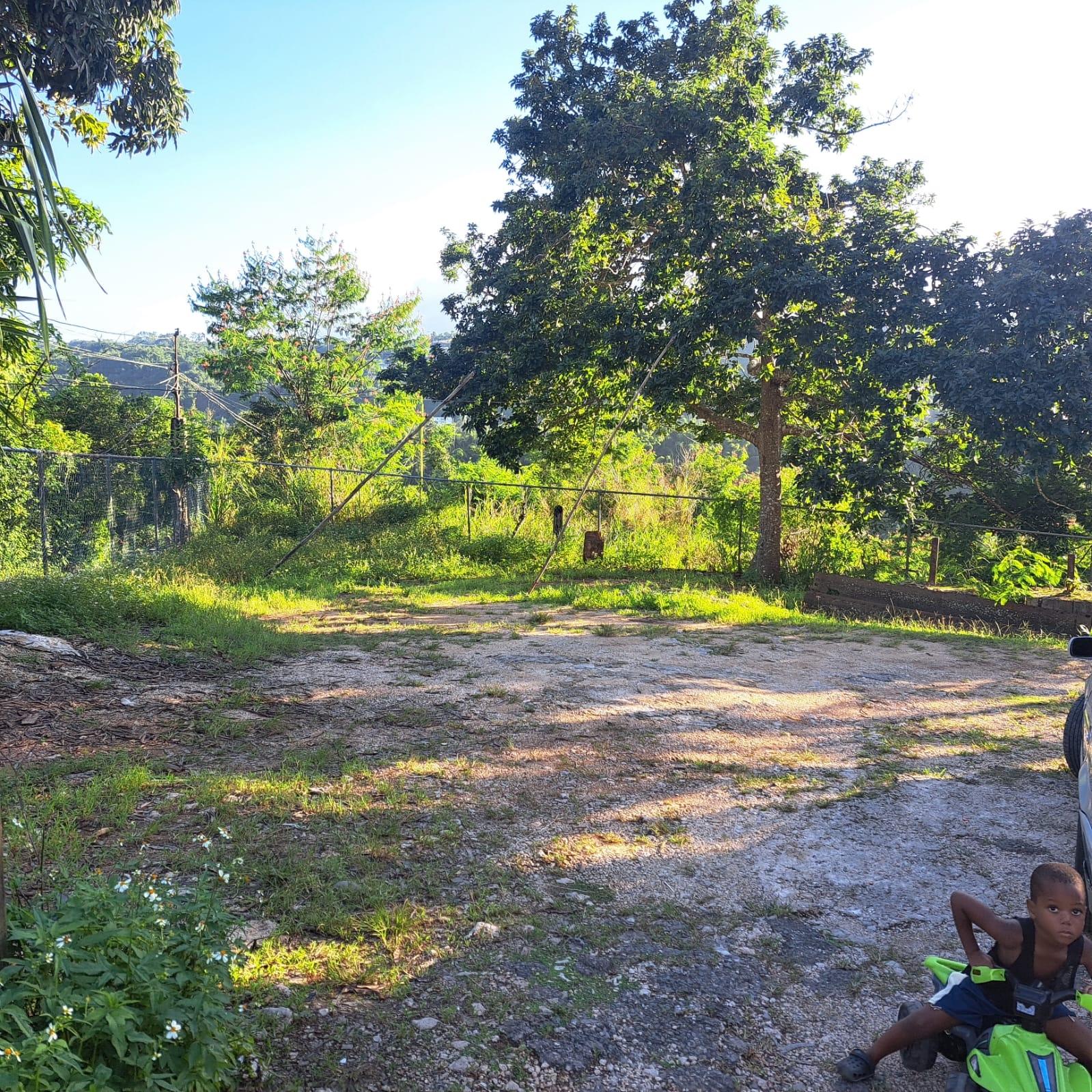 Eighth image of Nine Miles in Spaldings, Clarendon, Jamaica - property is For Sale