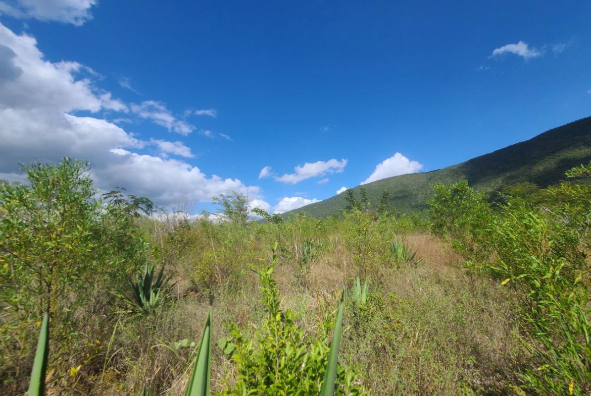 Second image of Lot 123 Lititz Land Settl in Watson Hill, Manchester, Jamaica - property is For Sale
