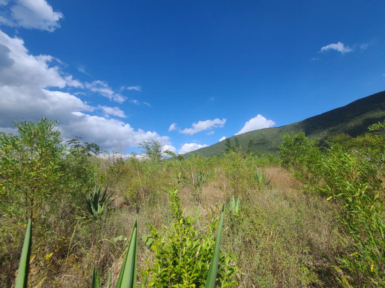 Second image of Lot 123 Lititz Land Settl in Watson Hill, Manchester, Jamaica - property is For Sale