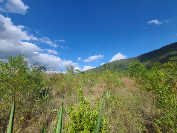Second image of Lot 123 Lititz Land Settl in Watson Hill, Manchester, Jamaica - property is For Sale