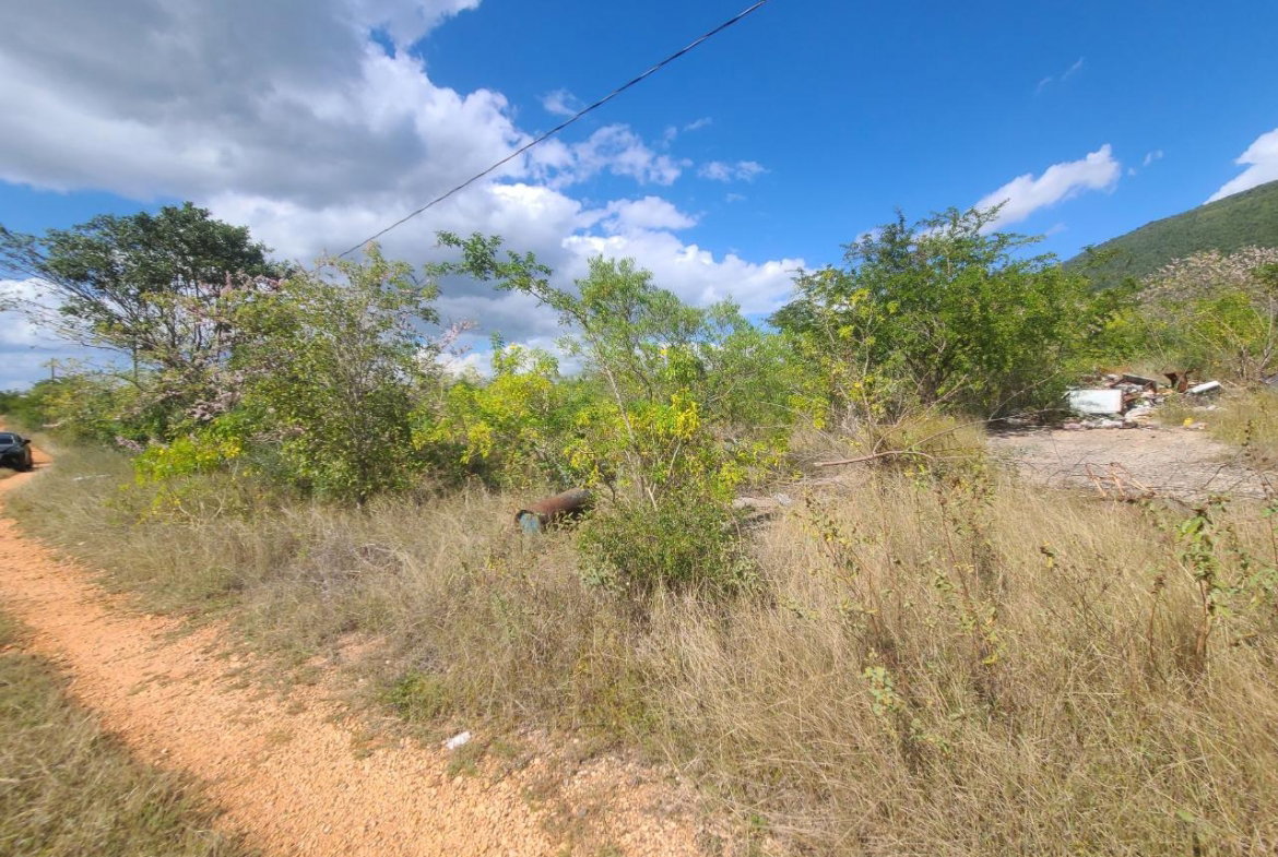 First image of Lot 123 Lititz Land Settl in Watson Hill, Manchester, Jamaica - property is For Sale