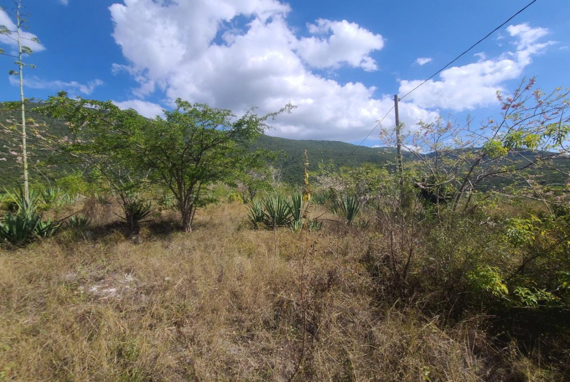 Sixth image of Lot 123 Lititz Land Settl in Watson Hill, Manchester, Jamaica - property is For Sale