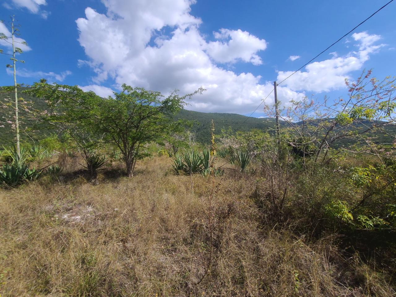 Sixth image of Lot 123 Lititz Land Settl in Watson Hill, Manchester, Jamaica - property is For Sale