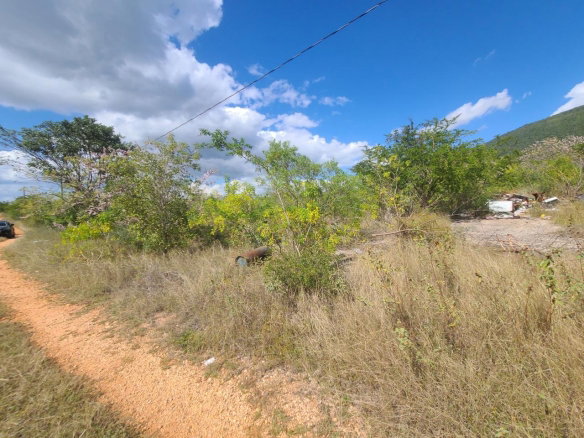First image of Lot 123 Lititz Land Settl in Watson Hill, Manchester, Jamaica - property is For Sale