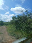 First image of Knockpatrick Large Lot 2 in Mandeville, Manchester, Jamaica - property is For Sale