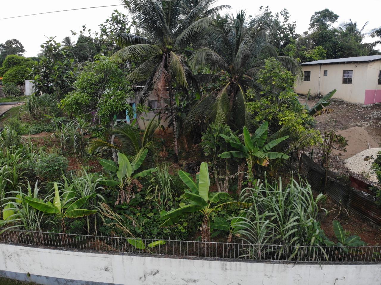 9529-sq.-ft.-Residential-Lot-for-Sale-in-Sunnyside-St.-Catherine-Jamaica Second image of Jarrett Avenue in Linstead, St. Catherine, Jamaica - property is For Sale
