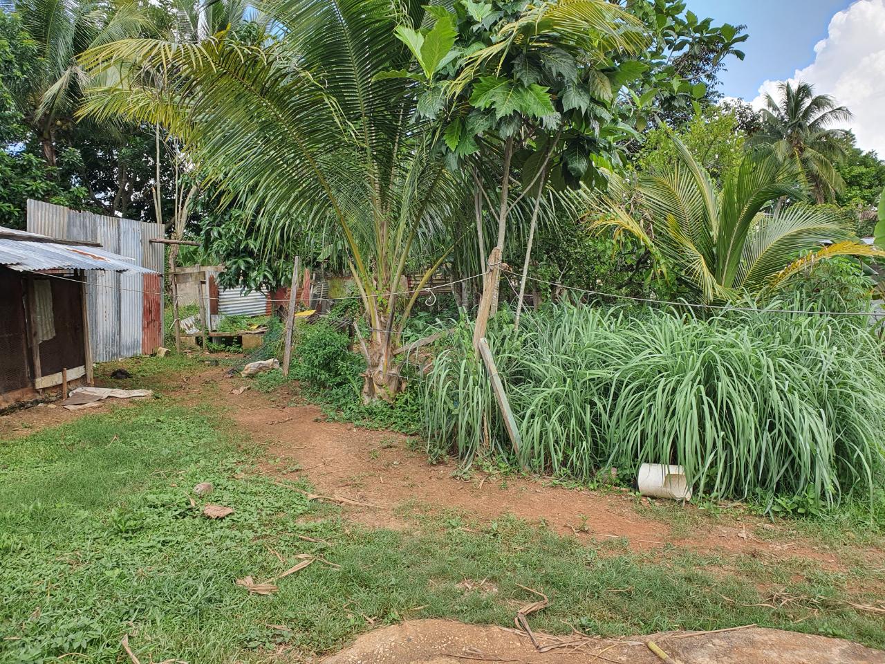 9529-sq.-ft.-Residential-Lot-for-Sale-in-Sunnyside-St.-Catherine-Jamaica Fourth image of Jarrett Avenue in Linstead, St. Catherine, Jamaica - property is For Sale