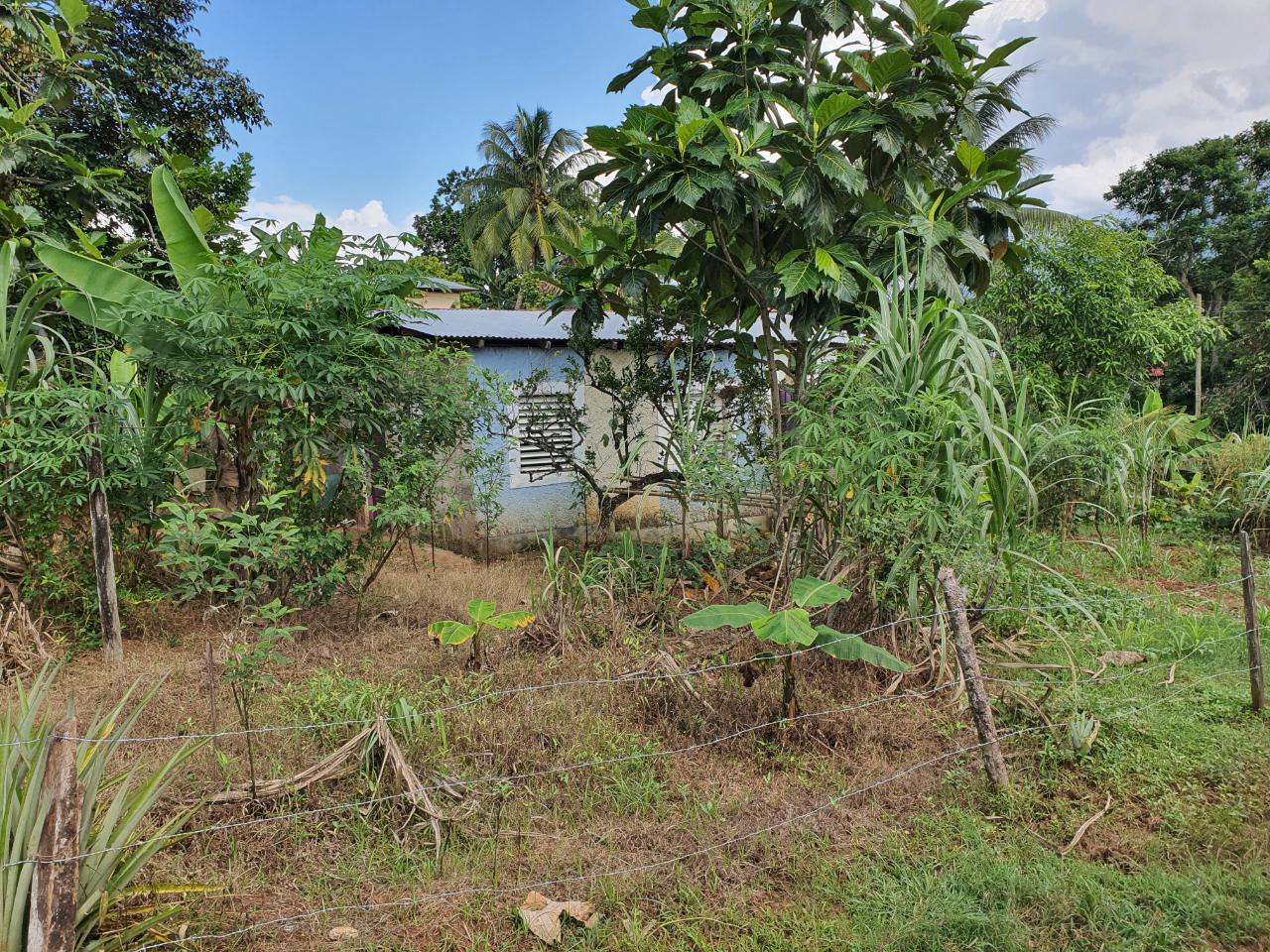 9529-sq.-ft.-Residential-Lot-for-Sale-in-Sunnyside-St.-Catherine-Jamaica Sixth image of Jarrett Avenue in Linstead, St. Catherine, Jamaica - property is For Sale