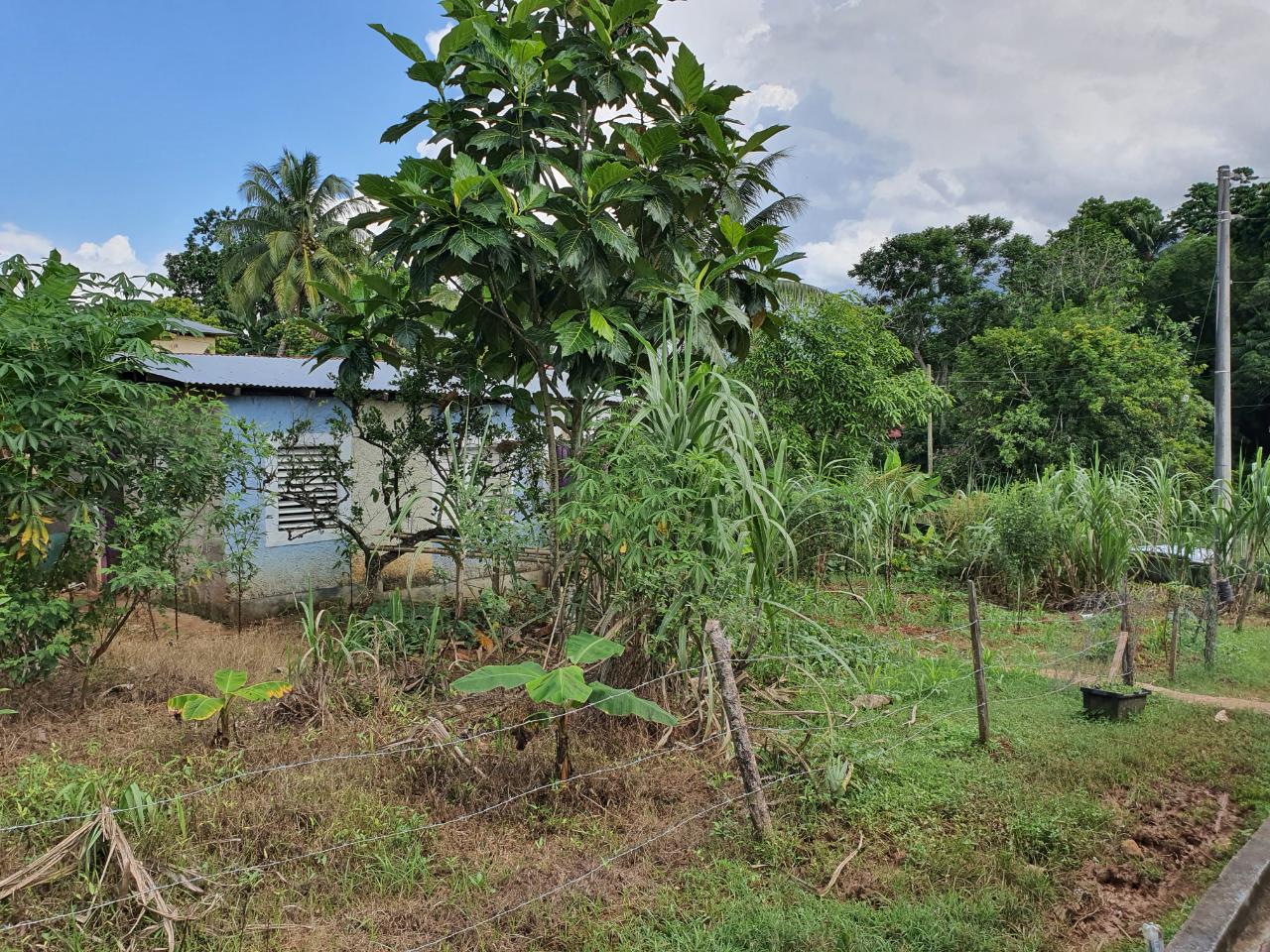 9529-sq.-ft.-Residential-Lot-for-Sale-in-Sunnyside-St.-Catherine-Jamaica Seventh image of Jarrett Avenue in Linstead, St. Catherine, Jamaica - property is For Sale