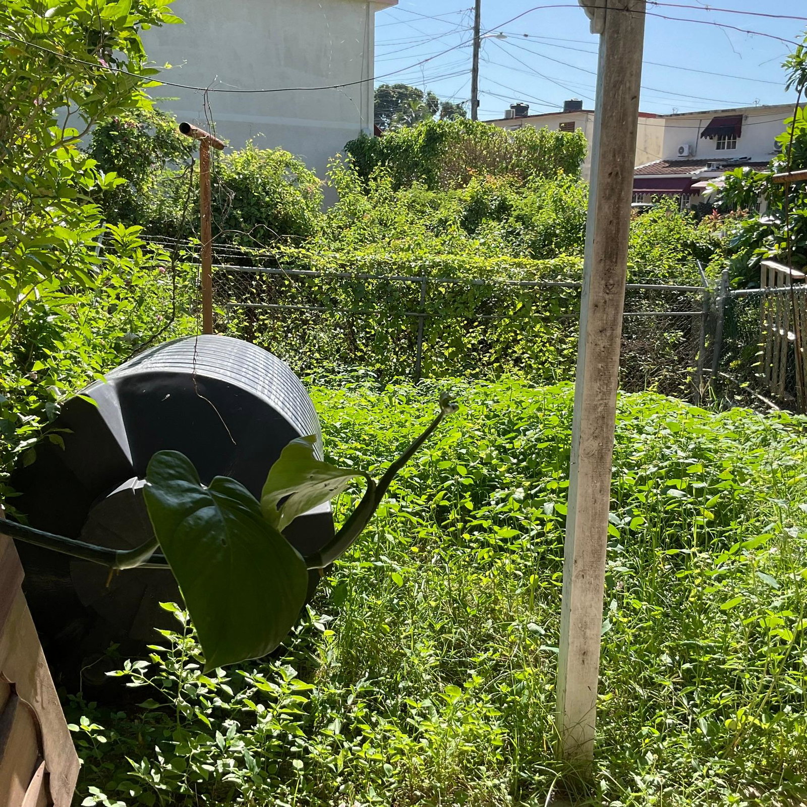 Thirteenth image of 16 16 Debbion Way, Earl Clos in Kingston 8, St. Andrew, Jamaica - property is For Sale