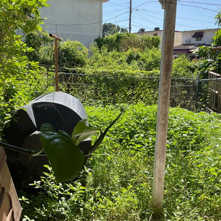 Thirteenth image of 16 16 Debbion Way, Earl Clos in Kingston 8, St. Andrew, Jamaica - property is For Sale