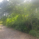 First image of Lot 2 Part of 25 Sheckles Pen in Sheckles, Clarendon, Jamaica - property is For Sale