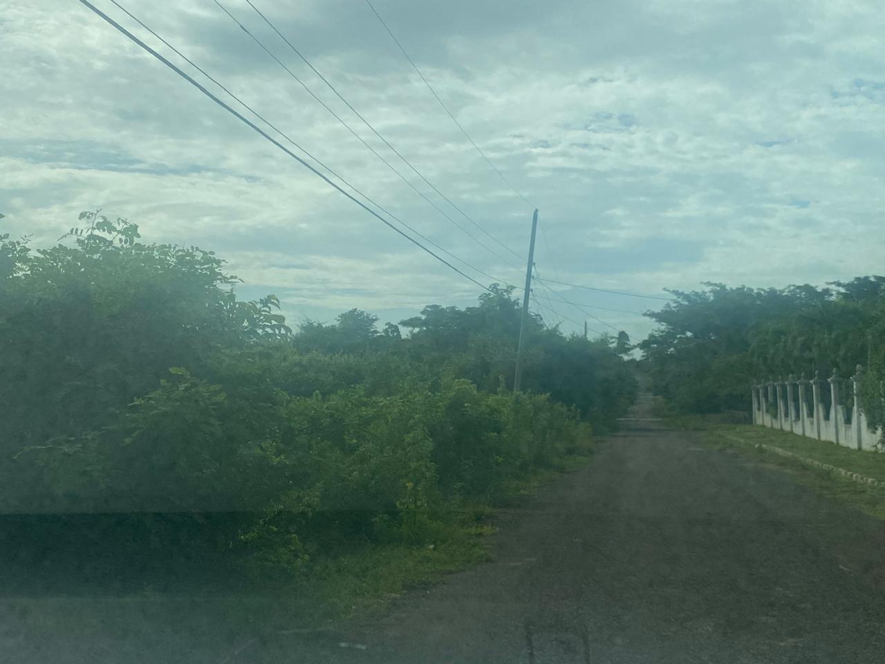 Third image of Lot 2 Part of 25 Sheckles Pen in Sheckles, Clarendon, Jamaica - property is For Sale