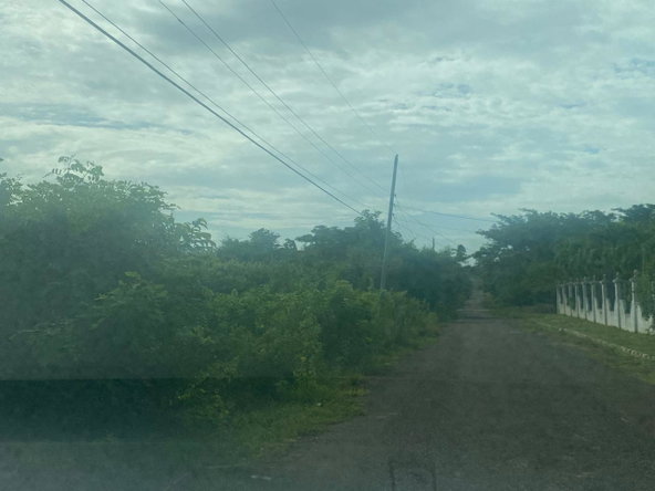 Third image of Lot 2 Part of 25 Sheckles Pen in Sheckles, Clarendon, Jamaica - property is For Sale