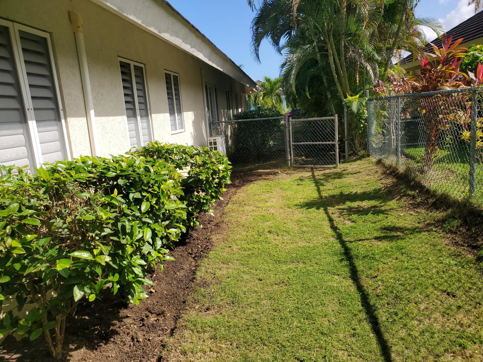 Twenty-Third image of 97- Gardenia Ave, Palms in Richmond, St. Ann, Jamaica - property is For Rent